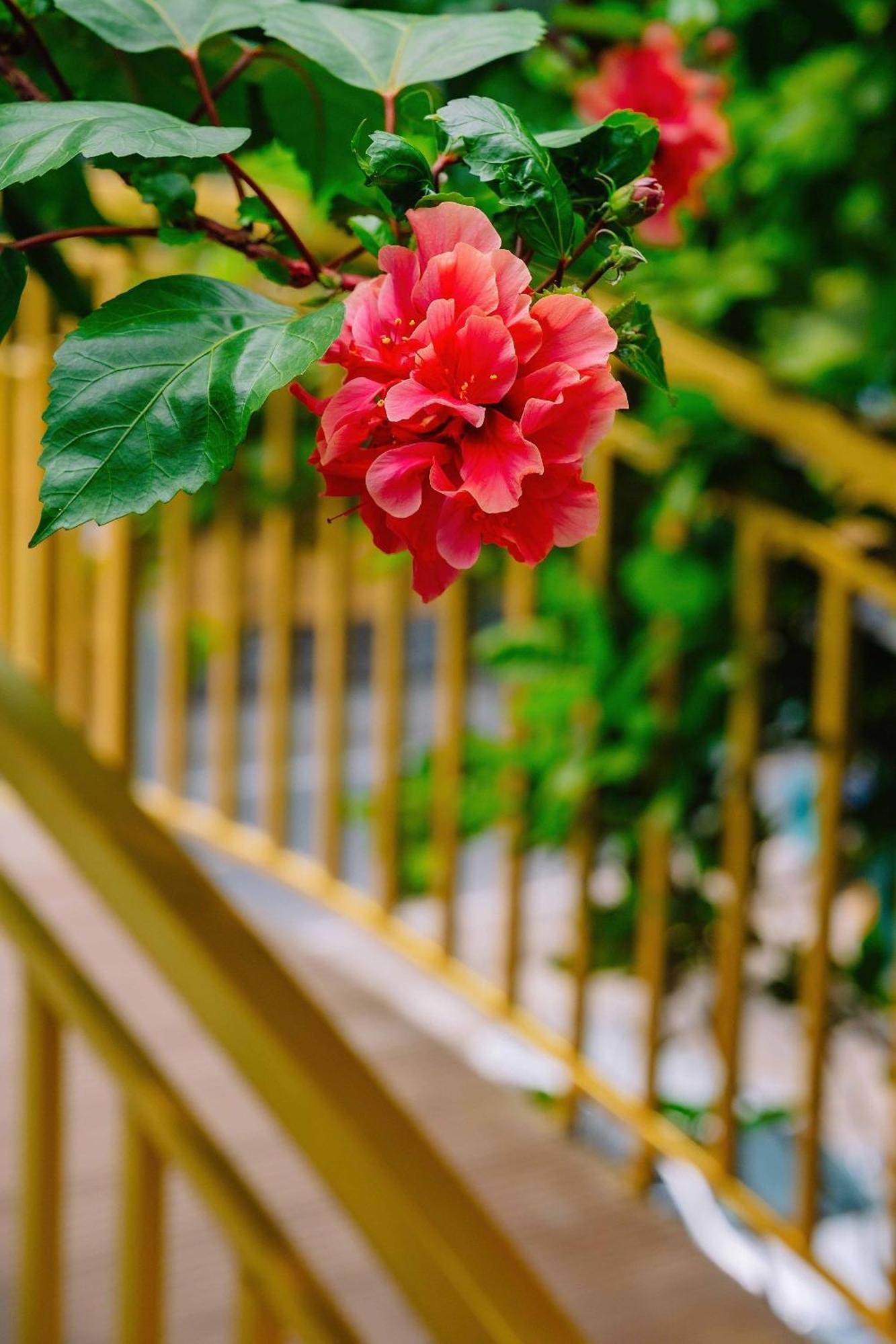 Ecorest Villa Cat Ba Chan Chau Екстериор снимка
