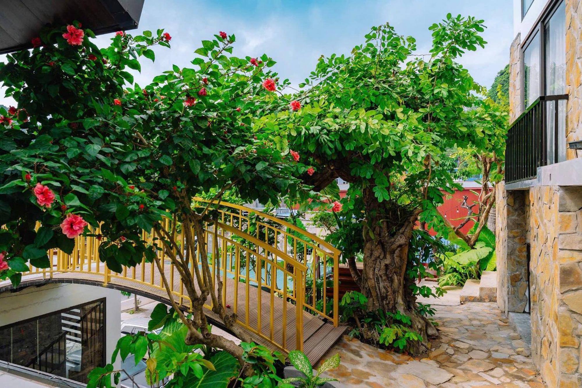 Ecorest Villa Cat Ba Chan Chau Екстериор снимка